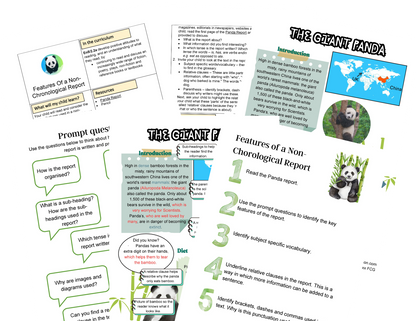 Year 5 Wild And Wonderful