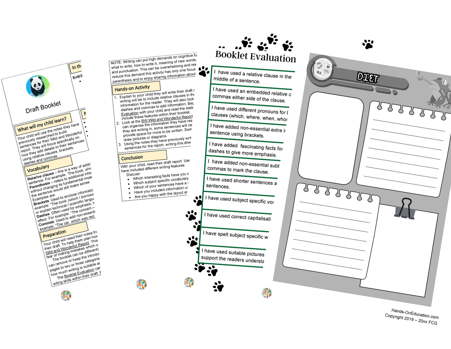 Year 5 Wild And Wonderful