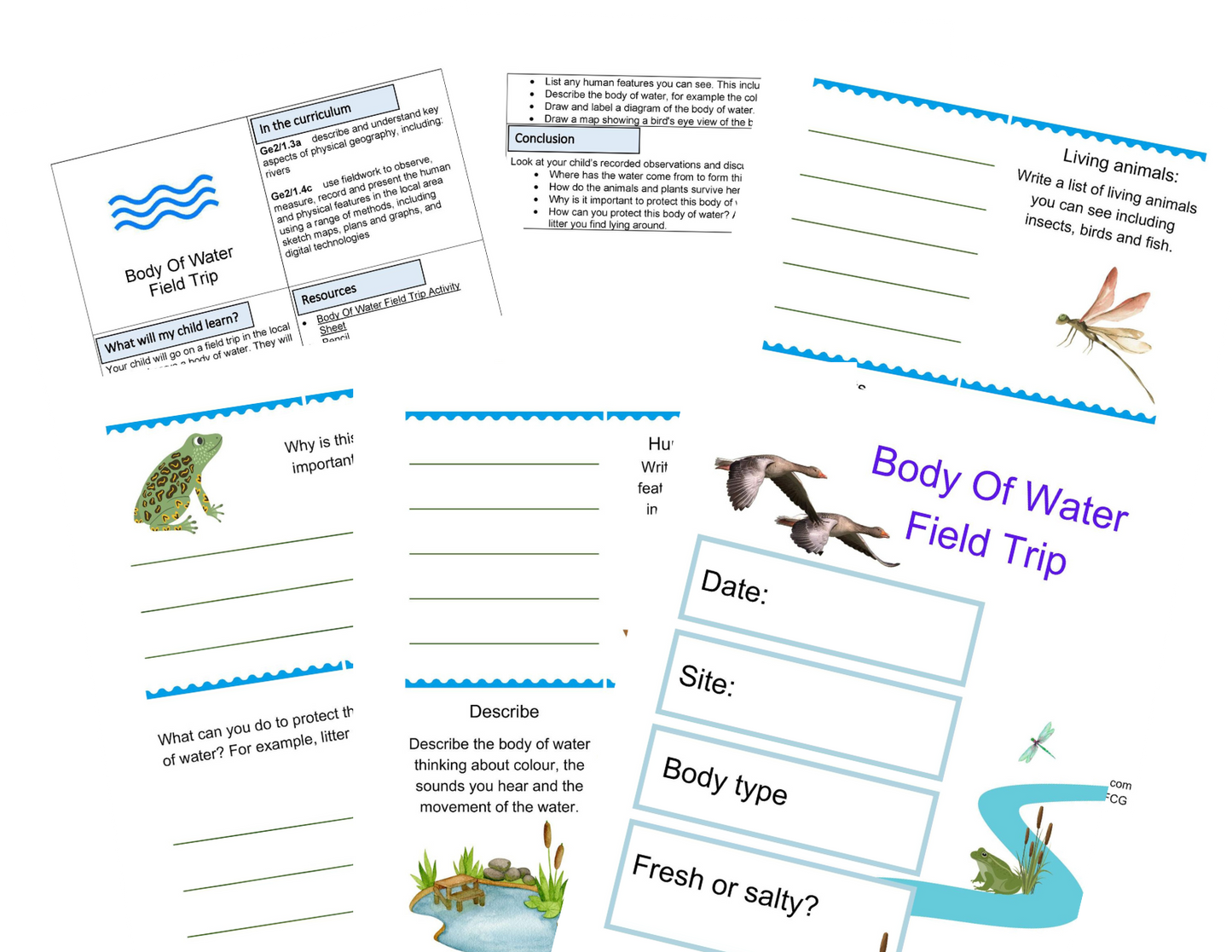 KS2 Merveilleuses activités nautiques